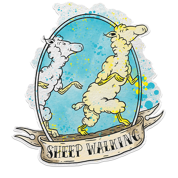 Sheep Walking CE