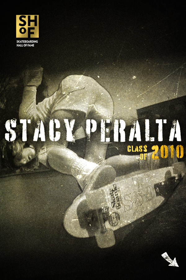 Stacy Peralta Valley Pool