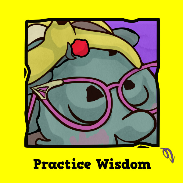 Practice Wisdom asset